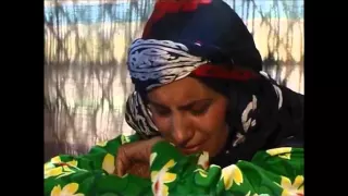                 استاد بهمن علاالدین کن کن ما لا دندنها