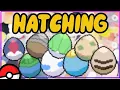 HOW TO HATCH EGGS IN POKEMON BRICK BRONZE