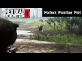 Where To Find A Panther - Red Dead Redemption 2 Perfect Pelt Location Guide RDR2