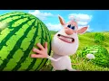 Download Lagu Booba’s Best Summer Ever! ☀️ Farm and MORE Funny Cartoons 😜 Toons Mania - Happy Kids