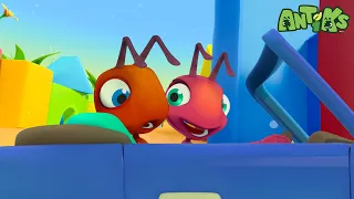 🏎️🐜 Joey dan Boo Balapan Mobil Mainan! 🚀 | ANTIKS Indonesia | Kartun Anak