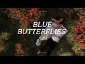 Blue butterflies 🦋 - JHIN | lyrics