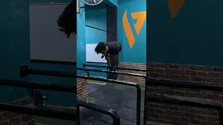 حركات اعجز نيوتن عن تفسيرها 