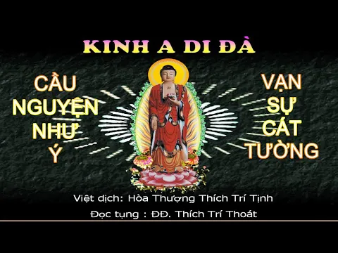 Download MP3 Kinh A Di Đà ( Có Chữ - Dịch Nghĩa ) - ĐĐ.Thích Trí Thoát Tụng