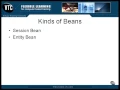 Lesson2 The Kinds of Beans JAVA J2EE Tutorials