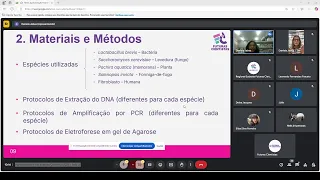 Apresentação Final Imersão Científica 2025 - Sala 02
