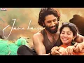 Hailessa (Hindi) Lyrical | Thandel | Naga Chaitanya, Sai Pallavi | Nakash Aziz, Shreya Ghoshal | DSP