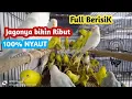 Download Lagu Pancingan suara burung PARKIT full berisik jagonya bikin Ribut dijamin 100% nyaut