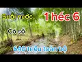 Download Lagu ☎️1 héc 6 có suối nước đá.khu dân cư giá bán hết đất chỉ 640 triệu có nguồn thu gần 100 triệu