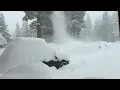 Tahoe Donner Snowy Day