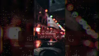 إذا كنت حزين فاستمع    موقف نوح عليه السلام مع ابنه من سورة هود دندنها