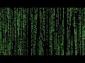 Realistic Matrix Screensaver 4k 1 hour