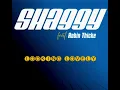 Shaggy Feat Robin Thicke - Looking Lovely