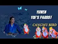 YUWEN YUE'S PARROT| CANGWU BIRD || Elma Bayug