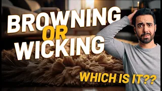 Carpet Cleaning Basics 4 Browning vs Wicking