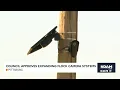 Pittsburg s approve additional traffic cameras