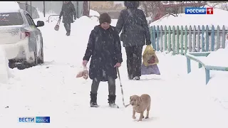 В Омске за день выпало рекордное количество осадков