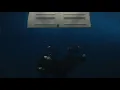 Billie Eilish - BLUE (Second Part Extended)