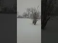 Snow Armageddon Licking County Ohio 1-25-2026