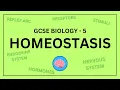 AQA GCSE Biology in 10 Minutes Topic 5 - Homeostasis and Response