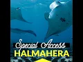 Download Lagu Halmahera 2022 Open Boat Trip