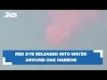 Spot red dye around Oak Harbor Don t worry it s just a water quality study