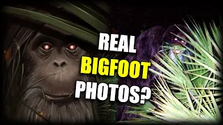 Was the Myakka Skunk Ape Real or a Hoax
