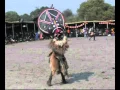Download Lagu MAKISHI DANCERS NorthWestern Province Zambia
