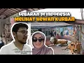 Download Lagu Bareng Istri Turki Nonton Sapi Kurban, Eh Telat 😢 | Akhirnya Lanjut Cuci Mata Ke Mall 😅