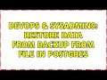 DevOps SysAdmins restore data from backup from file in postgres
