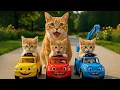Download Lagu Mama Cat Trims Fur on the Farm and Makes Tiger Hat For Kittens At Home🐾🎩🐯