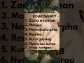 Download Lagu Fourtwenty - Zona nyaman Full album @HezelShower