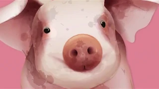 การเลี้ยงหมูหลุมเศรษฐกิจ ตอนที่ 3: เลือกหมูพันธุ์ดี