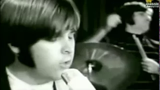 GOOD VIBRATIONS THE BEACH BOYS
