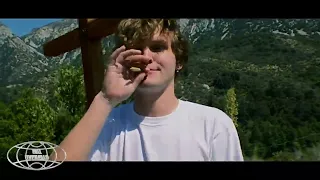 cheddar - pinky Dir wyanate