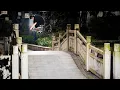 Download Lagu Primitive Skate Proudly Welcomes Aimu Yamazuki