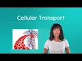 Cellular Transport - Moving Materials In and Out of Cells