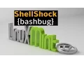 Protect Your System With Shellshock Bash Vulnerability Linux Mint Ubuntu