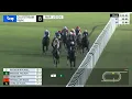 Gulfstream Park March 1 2026 Race 8