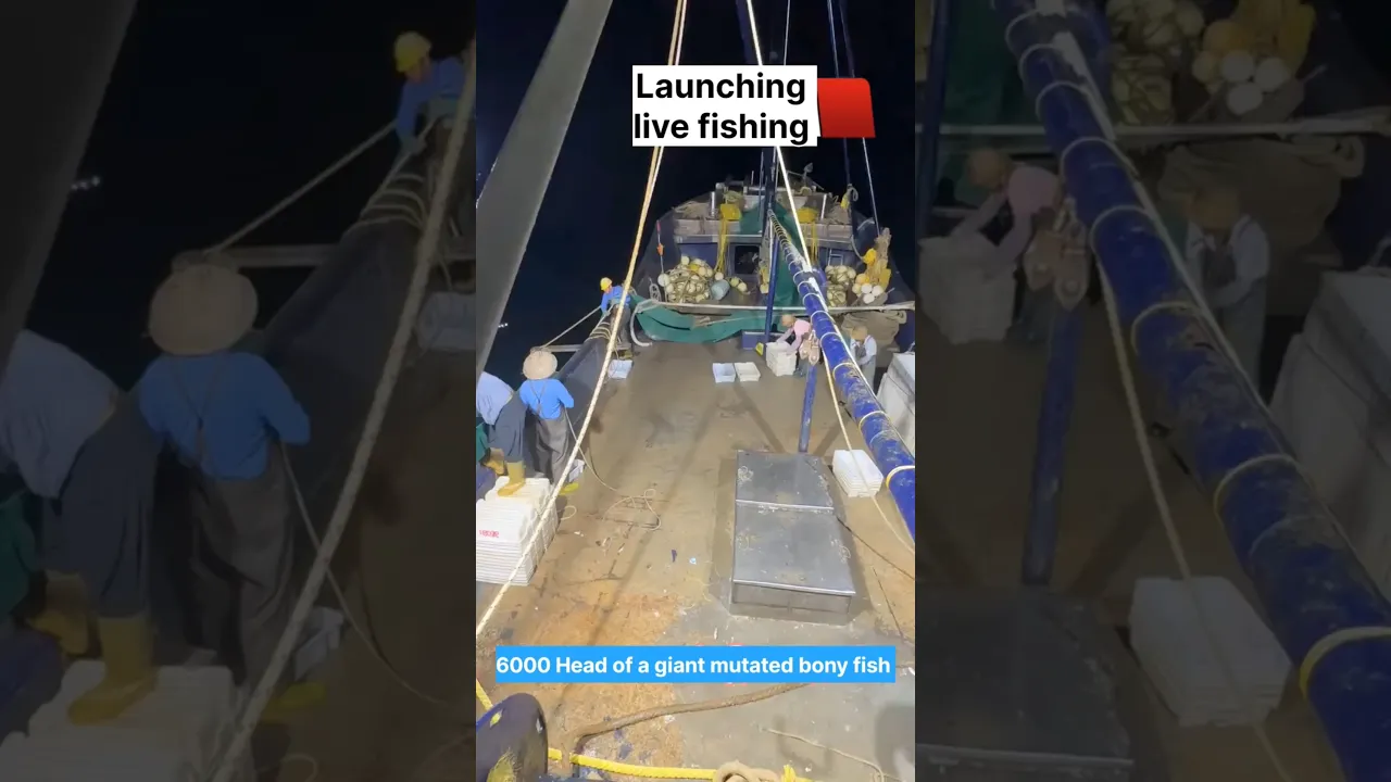 Seafishing #fishing #fish