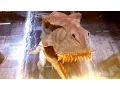Video di [4K] Jurassic Park The Ride in the Dark - Halloween Horror Nights - Universal Studios Hollywood