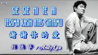 經典歌曲 Sie Sie Ni Te Ai Andy Lau Terima Kasih Atas Cintamu 谢谢你的爱 刘德华 