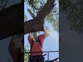 https://m.facebook.com/story.php?story_fbid=224124236218428\u0026id=100058625590202