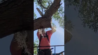 Https M Facebook Com Story Php Story Fbid 224124236218428 Id 100058625590202 