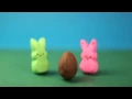 Happy Easter from Dillons Dillons