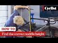 How to find the correct saddle height Quick and easy methods you can do yourself at home