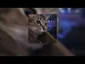 Shiloh dynasty - hesitations (sped up)