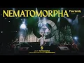 Download Lagu Fourtwnty - Nematomorpha (Live Heyfest Bekasi)
