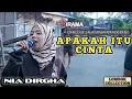 Download Lagu Apakah Itu Cinta - Nia Dirgha | Dangdut Koplo Jalanan | Orkes Musik Kecimol Irama Dopang Lombok