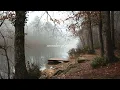 Lagu quiet november playlist 🍂 calm music for reading, studying \u0026 relaxing